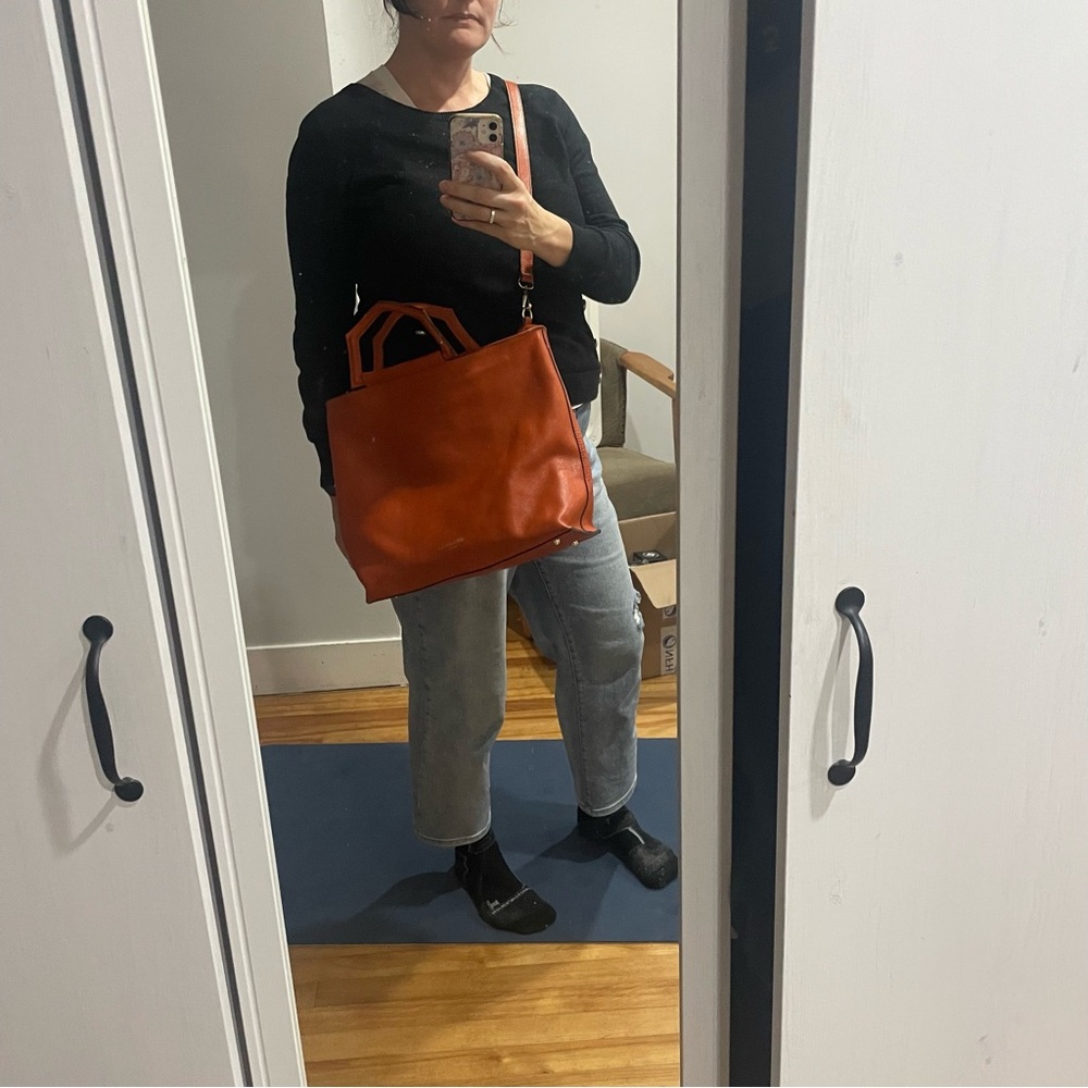 Anna Paola leather handbag - Picture 11 of 12